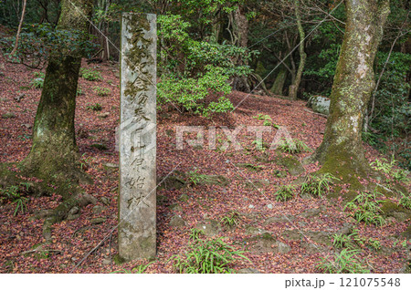 春日山原始林　奈良市 121075548