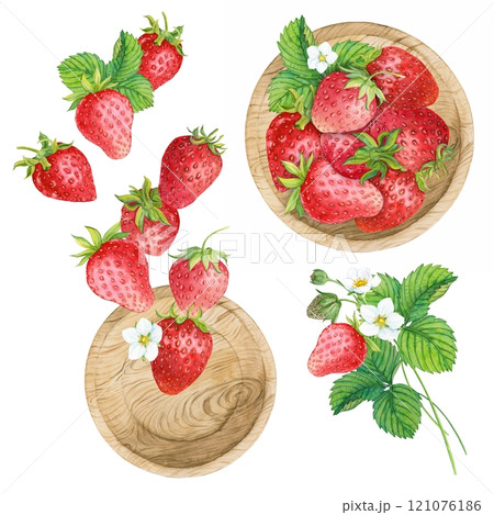 Falling juicy ripe strawberries with green leaves on a white background. Berries in a wooden bowl. Watercolor illustration for advertising juices, desserts, pastries. 121076186