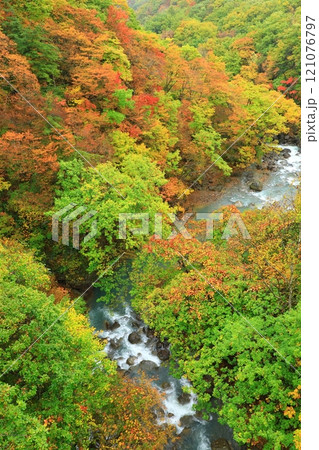 森の大橋から見た紅葉の松川渓谷 森の大橋から見た紅葉の松川渓谷 121076797