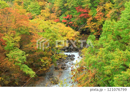 森の大橋から見た紅葉の松川渓谷 森の大橋から見た紅葉の松川渓谷 121076799