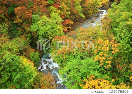 森の大橋から見た紅葉の松川渓谷 121076801