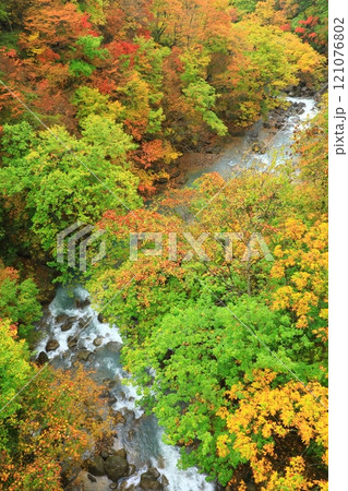 森の大橋から見た紅葉の松川渓谷 121076802