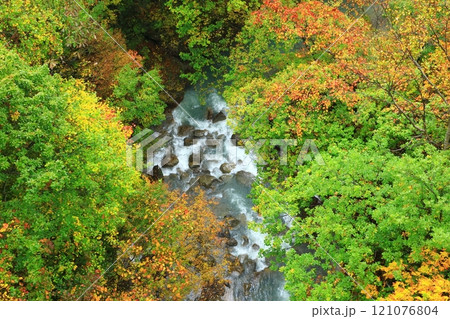 森の大橋から見た紅葉の松川渓谷 森の大橋から見た紅葉の松川渓谷 121076804