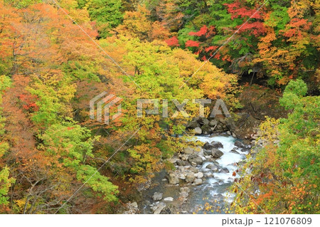 森の大橋から見た紅葉の松川渓谷 森の大橋から見た紅葉の松川渓谷 121076809