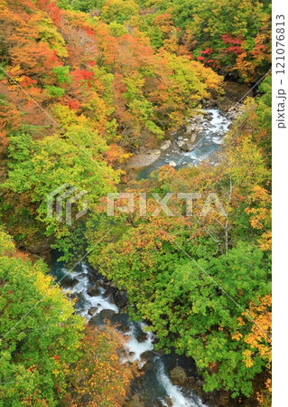 森の大橋から見た紅葉の松川渓谷 121076813