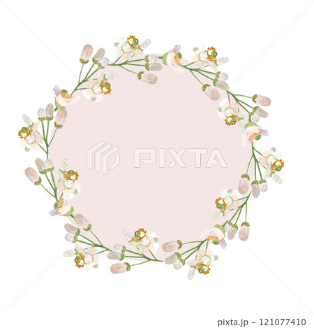 Delicate white citrus flowers and buds, pink watercolor wreath isolated on white. Hand-painted high quality art is perfect for textile, cards, posters, packaging, home decor, prints, souvenirs Delicate white citrus flowers and buds, pink watercolor wreath isolated on white. Hand-painted high quality art is perfect for textile, cards, posters, packaging, home decor, prints, souvenirs 121077410