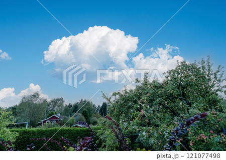 北欧のサマーコテージと庭の風景 北欧のサマーコテージと庭の風景 121077498