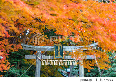 塩釜神社 鳥居 紅葉 秋 塩釜神社 鳥居 紅葉 秋 121077953
