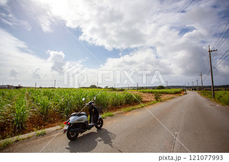 沖縄・宮古島のさとうきび畑とレンタルバイク 沖縄・宮古島のさとうきび畑とレンタルバイク 121077993