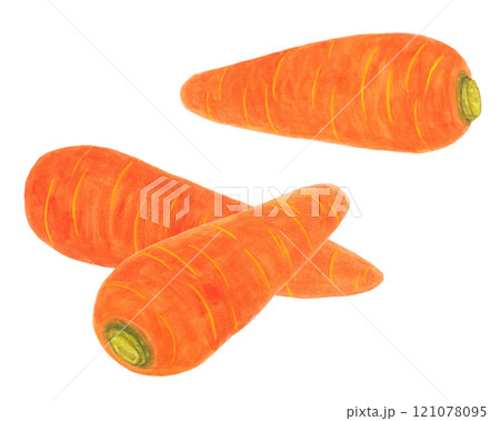 人参のイラスト 121078095