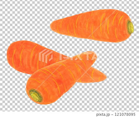 人参のイラスト 121078095