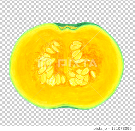 Illustration of a pumpkin cut in half 121078099