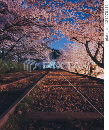蹴上インクラインの夜桜 121078152