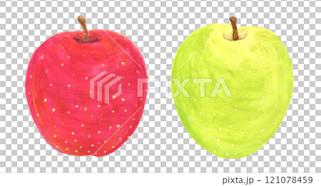 Illustration material of red and green apples 121078459