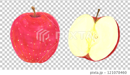 Illustration material of an apple cut in half and a red apple Illustration material of an apple cut in half and a red apple 121078460
