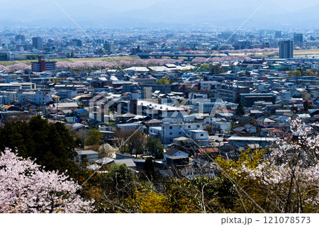 2024年桜満開呉羽山の展望台から富山市街地と北アルプス立山連峰 121078573