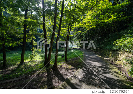夏の都筑中央公園 夏の都筑中央公園 121079294