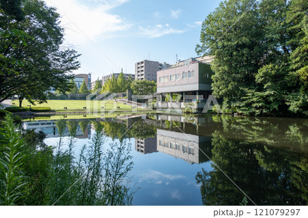 夏の都筑中央公園 夏の都筑中央公園 121079297