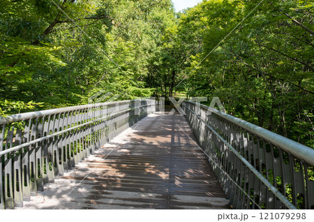 夏の都筑中央公園 夏の都筑中央公園 121079298