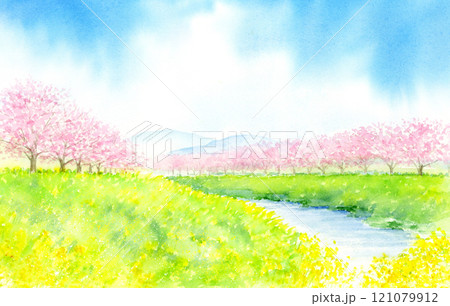 菜の花が咲く河川敷と桜並木の風景 水彩画 菜の花が咲く河川敷と桜並木の風景 水彩画 121079912