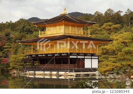 金色の金閣寺 金色の金閣寺 121080345