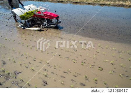 rice-planting 121080417