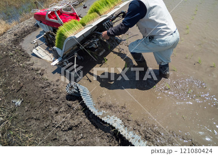 rice-planting rice-planting 121080424