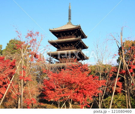 秋の仁和寺　五重塔 121080460