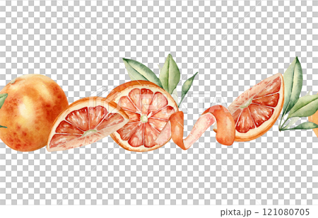 Grapefruits whole and half, orange citrus curl and leaves watercolor seamless border isolated background. Bright summer repeated texture hand drawn with segments red orange citrus fruits, swirl peel. Grapefruits whole and half, orange citrus curl and leaves watercolor seamless border isolated background. Bright summer repeated texture hand drawn with segments red orange citrus fruits, swirl peel. 121080705