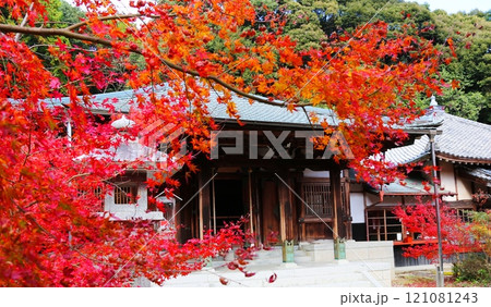 水上万寿寺の紅葉 水上万寿寺の紅葉 121081243