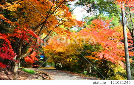 水上万寿寺の紅葉 水上万寿寺の紅葉 121081246