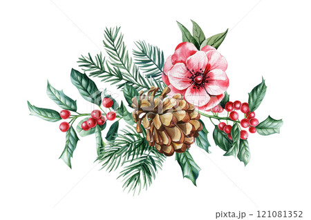 Flower pine cone, holly berries, evergreen Christmas floral decoration festive botanical illustration watercolor artwork Flower pine cone, holly berries, evergreen Christmas floral decoration festive botanical illustration watercolor artwork 121081352