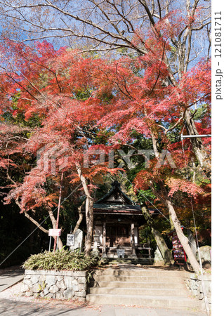 深大寺の深沙大王堂 冬晴れの青空と紅葉 東京都調布市深大寺元町 深大寺の深沙大王堂 冬晴れの青空と紅葉 東京都調布市深大寺元町 121081711