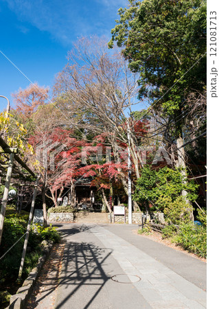 深大寺の深沙大王堂へ続く参道 冬晴れの青空と紅葉 東京都調布市深大寺元町 深大寺の深沙大王堂へ続く参道 冬晴れの青空と紅葉 東京都調布市深大寺元町 121081713