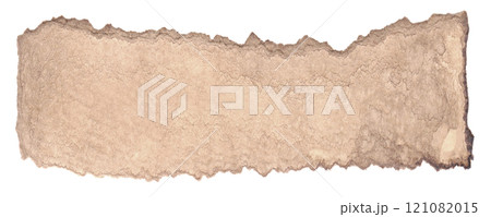 樹皮の欠片みたいな茶色い切れ端 121082015