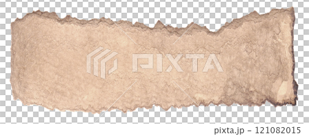 樹皮の欠片みたいな茶色い切れ端 121082015