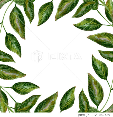 Vibrant foliage frames the illustration with botanical flair. Nature's beauty captured in soft green tones. Perfect for eco-friendly branding or templates. Perfect for invitations, logos, or branding 121082389