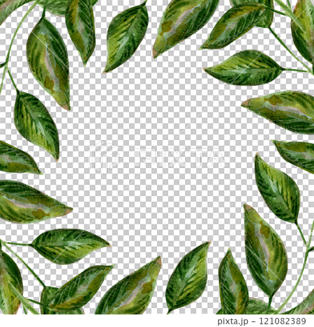 Vibrant foliage frames the illustration with botanical flair. Nature's beauty captured in soft green tones. Perfect for eco-friendly branding or templates. Perfect for invitations, logos, or branding 121082389