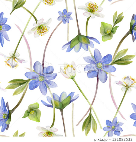 Spring ephemera flowers, blue hepatica forget-me-not flax, white forest anemone primrose bloodroot, grass, hand drawn in watercolor. Seamless pattern illustration for wedding, florist shop, stationery Spring ephemera flowers, blue hepatica forget-me-not flax, white forest anemone primrose bloodroot, grass, hand drawn in watercolor. Seamless pattern illustration for wedding, florist shop, stationery 121082532