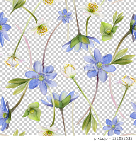 Spring ephemera flowers, blue hepatica forget-me-not flax, white forest anemone primrose bloodroot, grass, hand drawn in watercolor. Seamless pattern illustration for wedding, florist shop, stationery Spring ephemera flowers, blue hepatica forget-me-not flax, white forest anemone primrose bloodroot, grass, hand drawn in watercolor. Seamless pattern illustration for wedding, florist shop, stationery 121082532