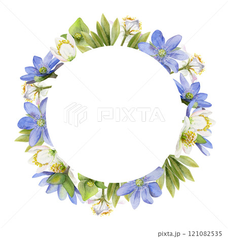 Spring ephemera flowers, blue hepatica forget-me-not flax, white forest anemone primrose bloodroot, grass, hand drawn in watercolor. Wreath frame illustration for wedding, florist shop, stationery Spring ephemera flowers, blue hepatica forget-me-not flax, white forest anemone primrose bloodroot, grass, hand drawn in watercolor. Wreath frame illustration for wedding, florist shop, stationery 121082535