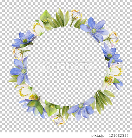 Spring ephemera flowers, blue hepatica forget-me-not flax, white forest anemone primrose bloodroot, grass, hand drawn in watercolor. Wreath frame illustration for wedding, florist shop, stationery Spring ephemera flowers, blue hepatica forget-me-not flax, white forest anemone primrose bloodroot, grass, hand drawn in watercolor. Wreath frame illustration for wedding, florist shop, stationery 121082535