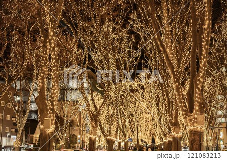 2024 SENDAI光のページェントのイルミネーション　宮城県仙台市 121083213