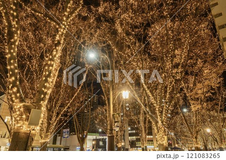 2024 SENDAI光のページェントのイルミネーション　宮城県仙台市 121083265