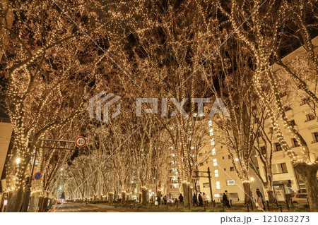 2024 SENDAI光のページェントのイルミネーション　宮城県仙台市 121083273