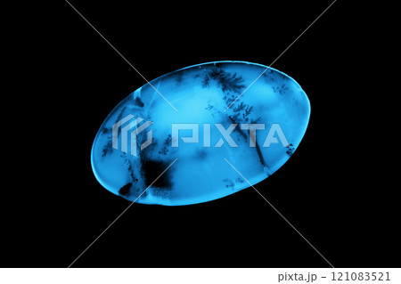 デンドリティック・アゲート 風景を宿す石 デンドリティック・アゲート 風景を宿す石 121083521