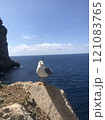 イタリアの風景 121083765