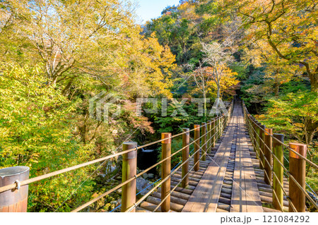 秋の花貫渓谷　茨城県高萩市 121084292