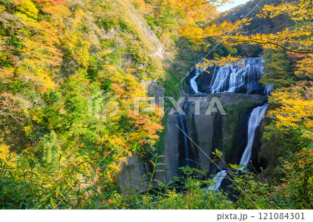 秋の袋田の滝　茨城県大子町 121084301
