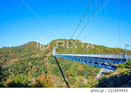秋の竜神大吊橋　茨城県常陸太田市 121084483